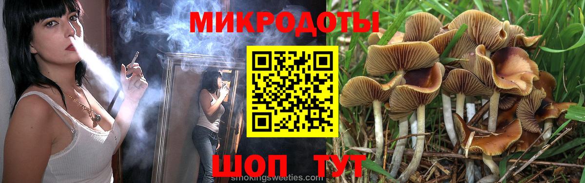 Галлюциногенные грибы MAGIC MUSHROOMS  Вход с VPN  Чайковский 