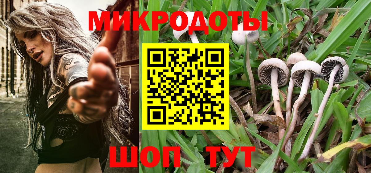 Псилоцибиновые грибы прущие грибы Чайковский
